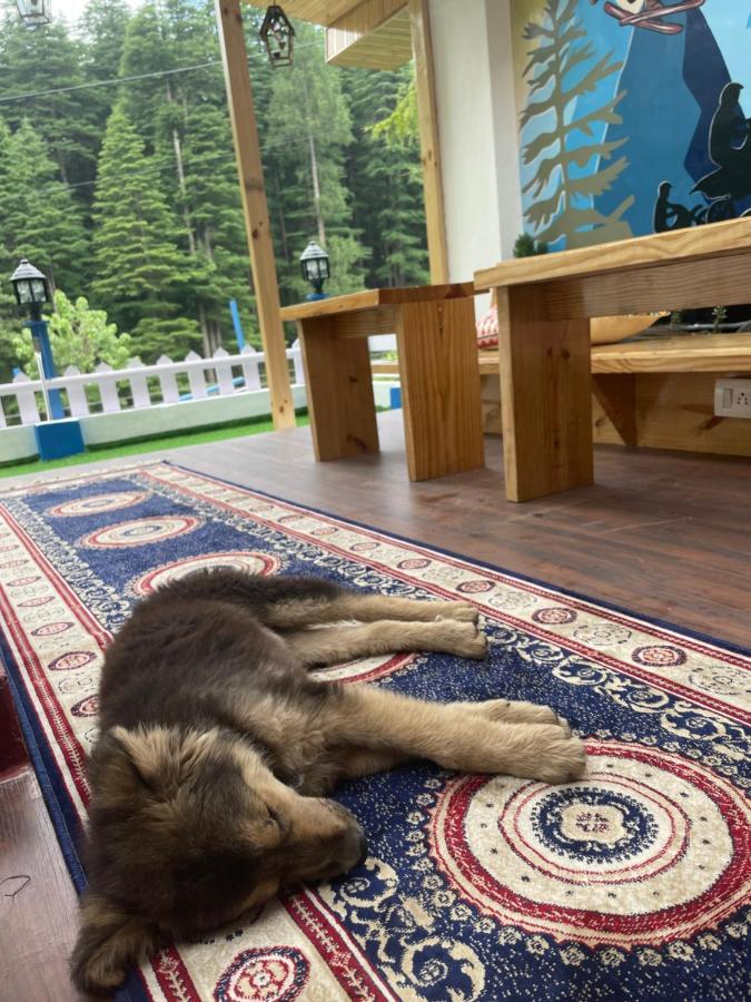 Hostel Ats -Manali Zewnętrze zdjęcie